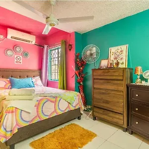 Homestay Colorful Private Oasis, Montego Bay
